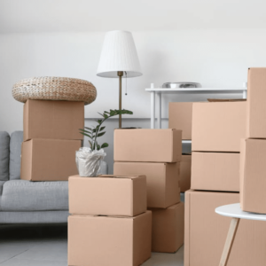 déménagement Saint-Didier-au-Mont-d’Or déménagement Saint-Didier-au-Mont-d’Or