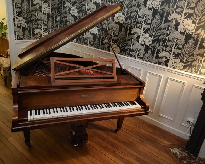 déménagement piano Lyon